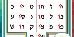 פלקט 4- חולם