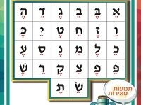 פלקט 5- צירה סגול