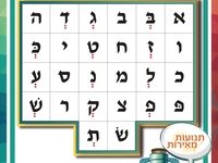 פלקט 2- שווא