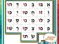 פלקט 6- שורוק קובוץ
